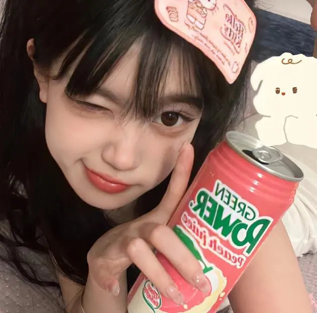 芬奇达