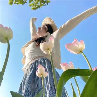 宫本武藏：双剑飞驰之梦